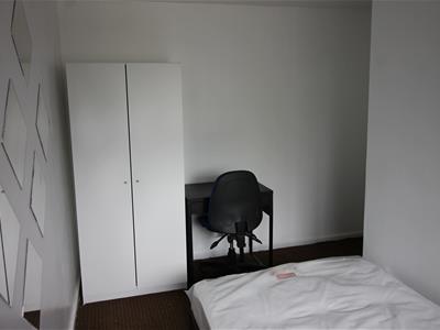 Picture 12